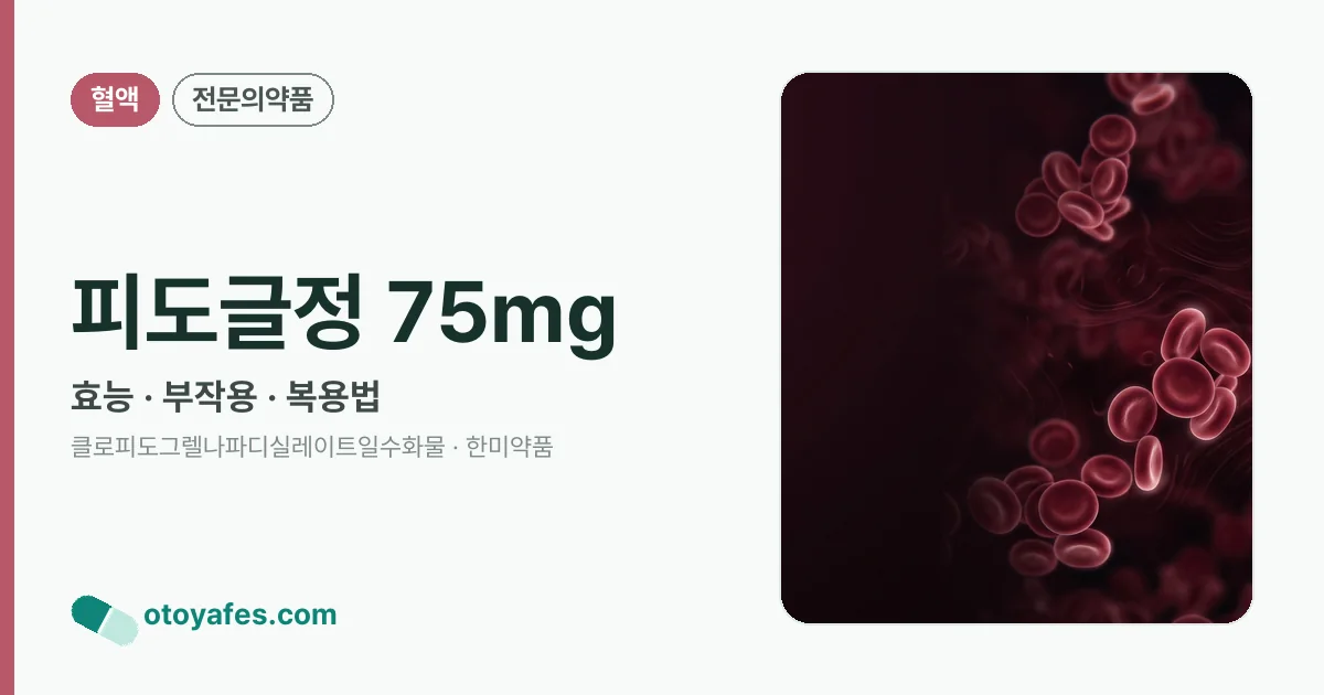 피도글정 75mg 정리 썸네일