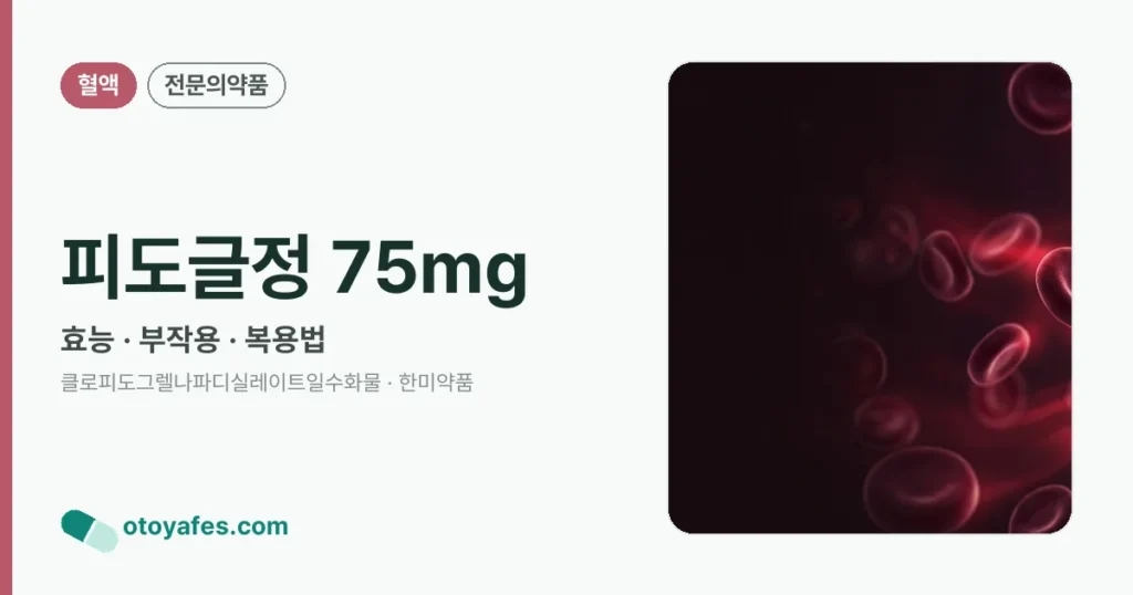 피도글정 75mg 정리 썸네일