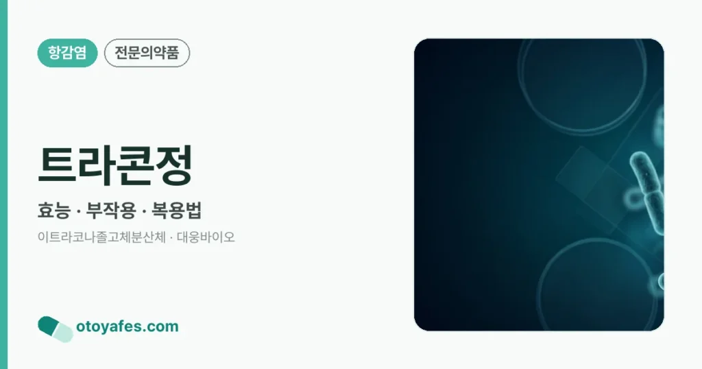트라콘정 정리 썸네일