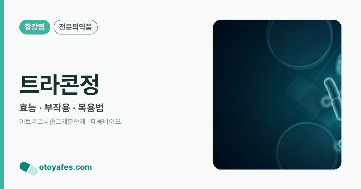 트라콘정 정리 썸네일