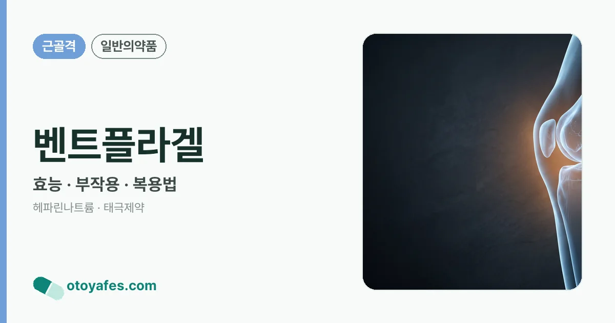 벤트플라겔 정리 썸네일