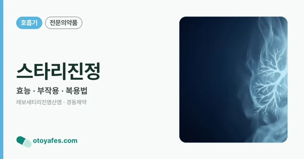 스타리진정 정리 썸네일