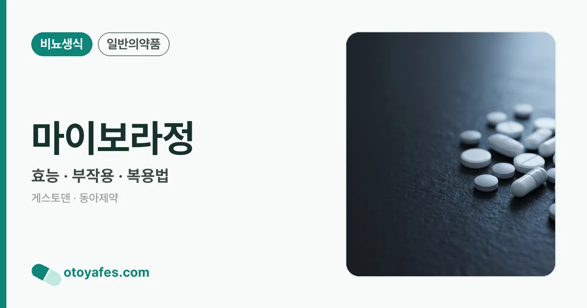 마이보라정 정리 썸네일