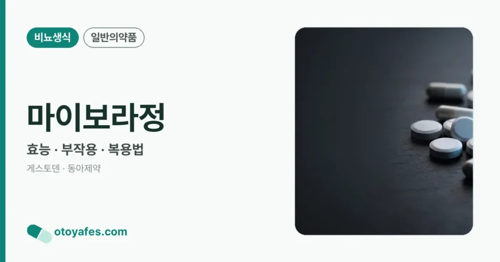 마이보라정 정리 썸네일