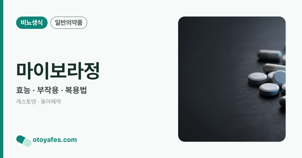 마이보라정 정리 썸네일