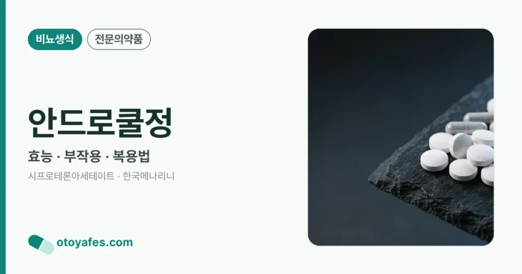 안드로쿨정 정리 썸네일