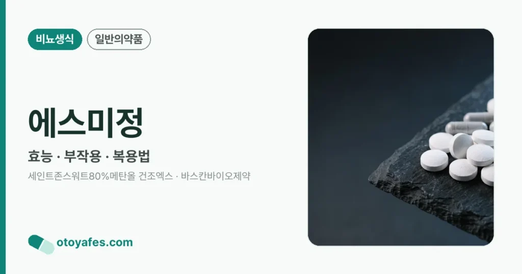 에스미정 정리 썸네일