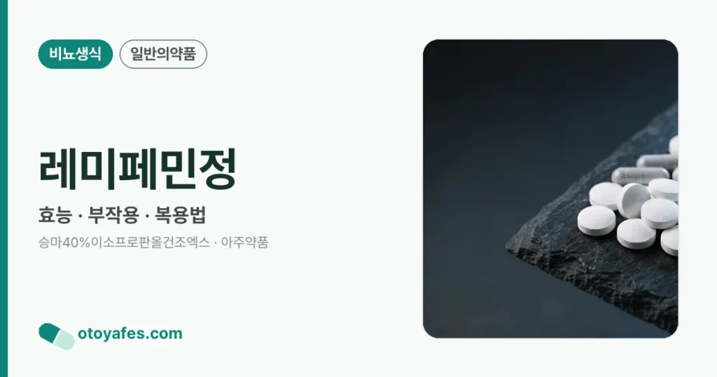 레미페민정 정리 썸네일