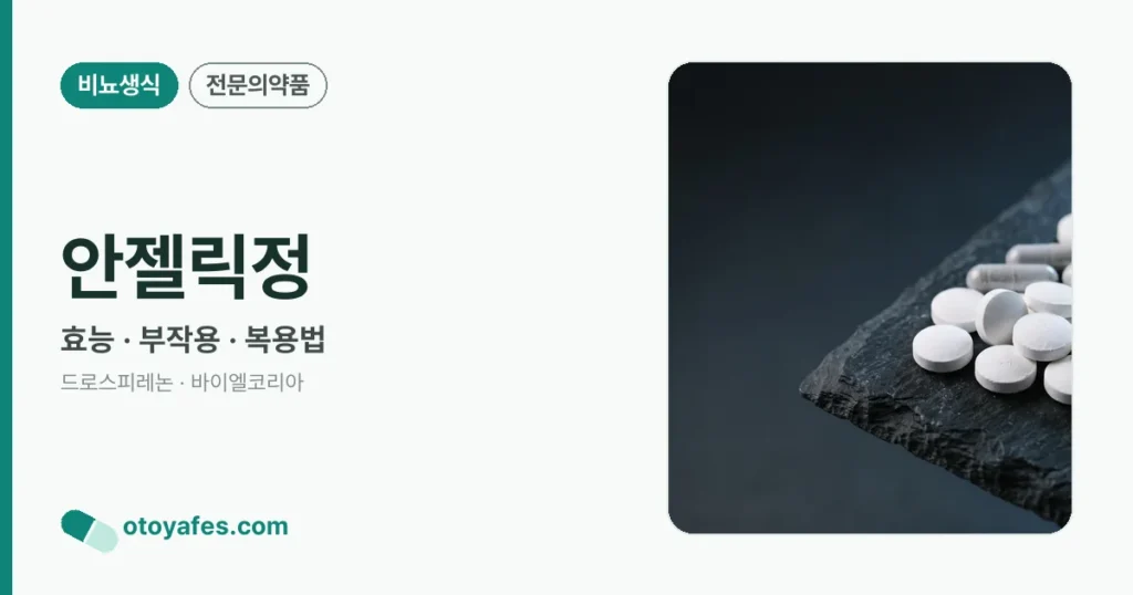 안젤릭정 정리 썸네일