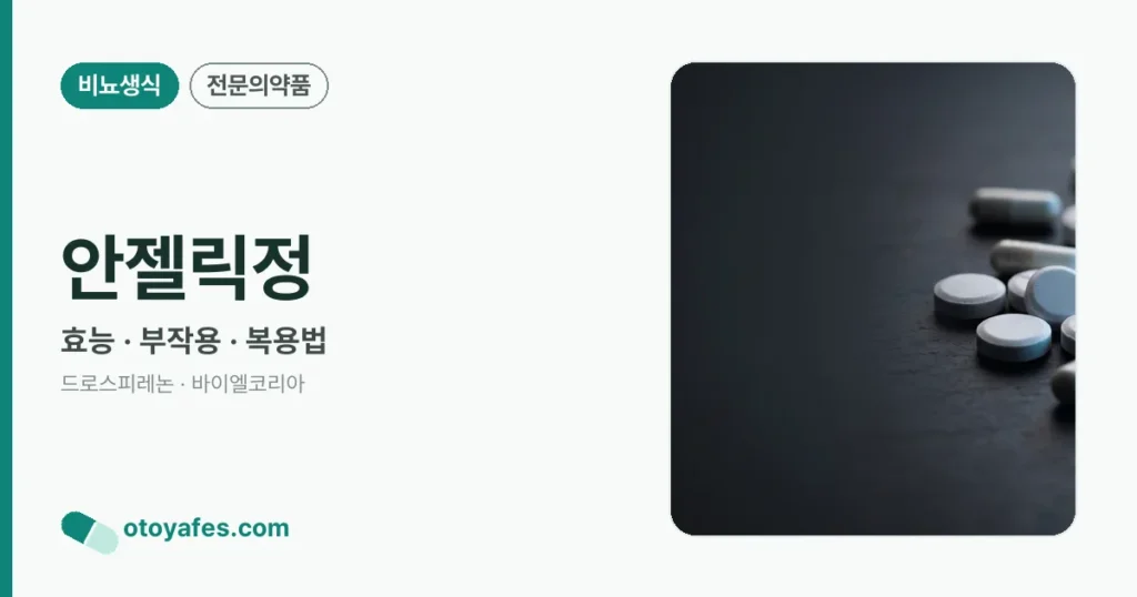 안젤릭정 정리 썸네일