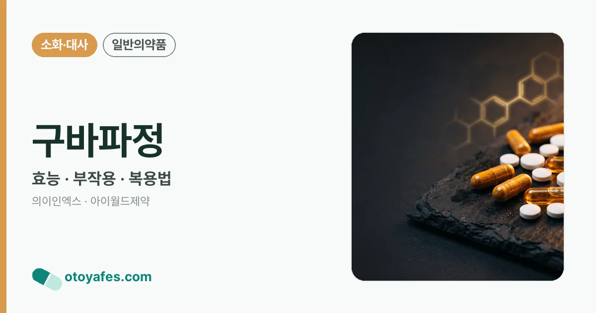 구바파정 정리 썸네일