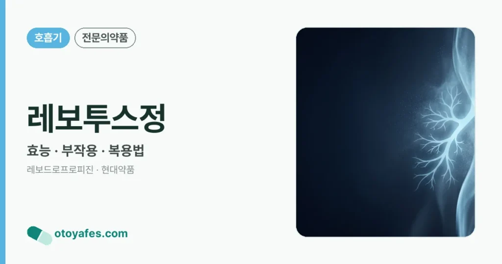 레보투스정 정리 썸네일
