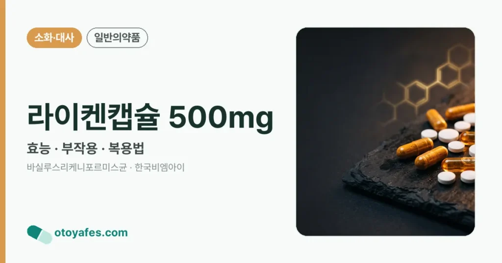 라이켄캡슐 500mg 정리 썸네일