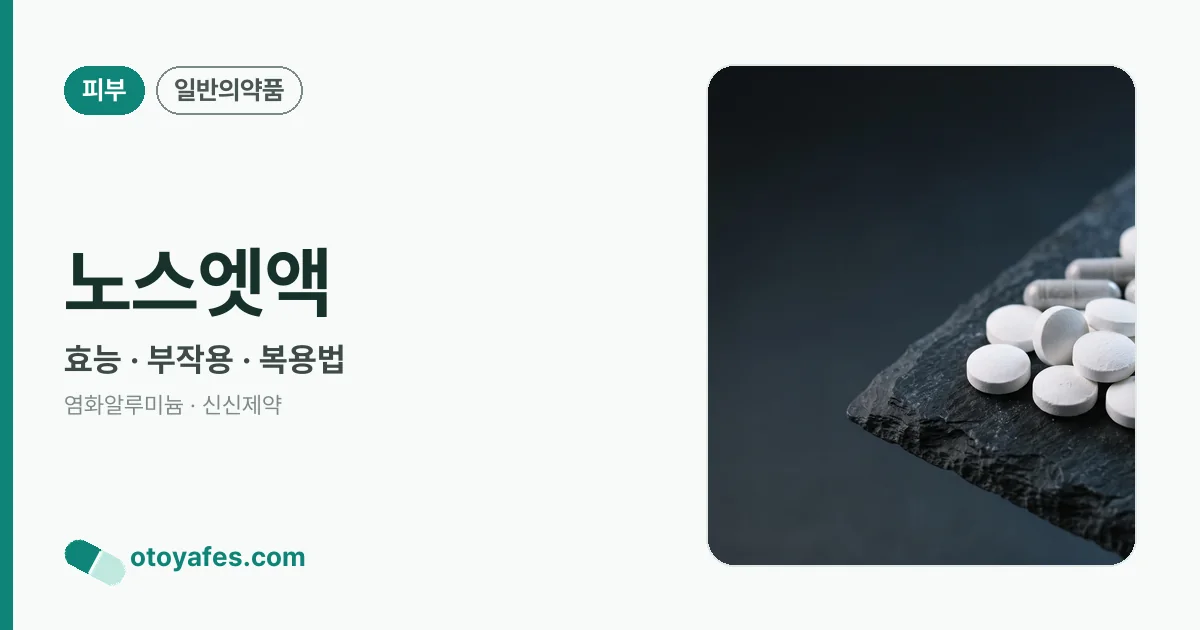 노스엣액 정리 썸네일