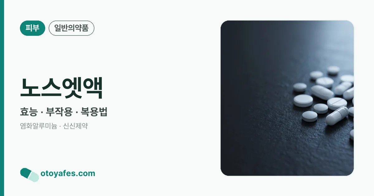 노스엣액 정리 썸네일