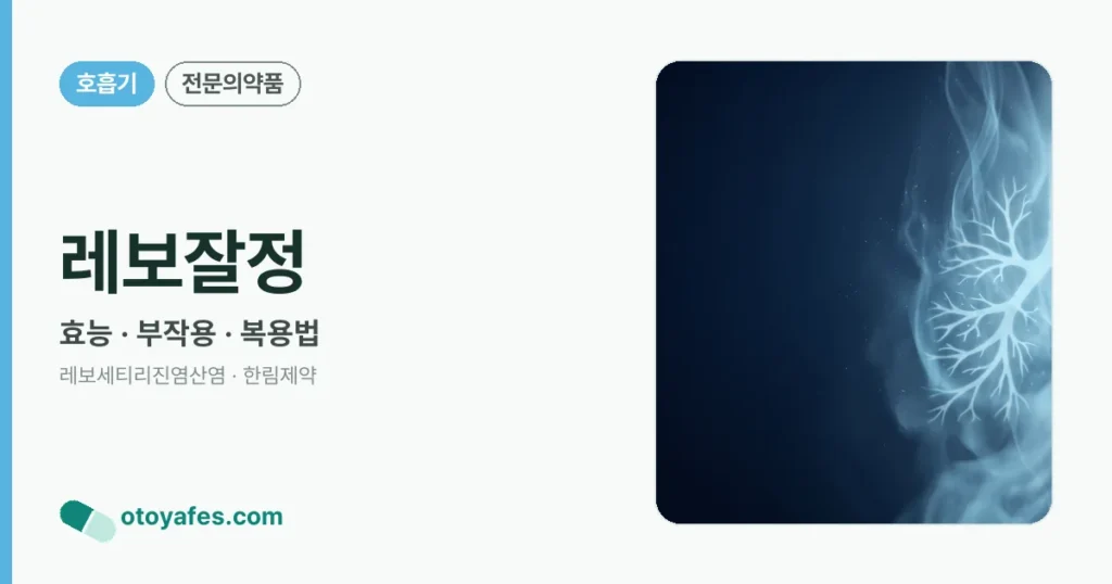 레보잘정 정리 썸네일