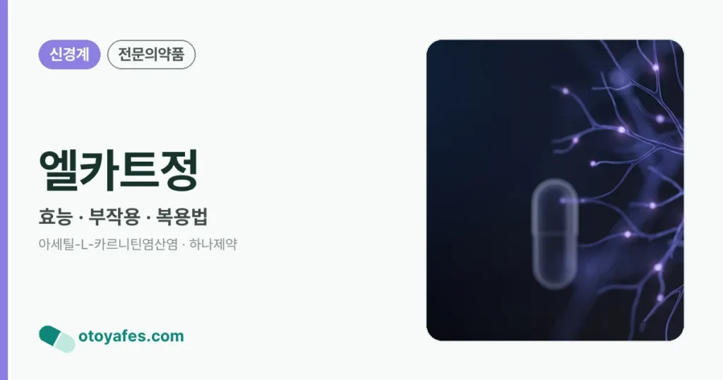 엘카트정 정리 썸네일