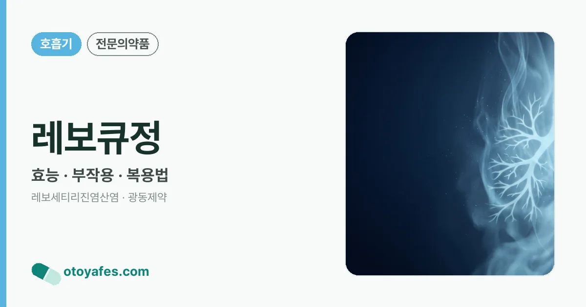 레보큐정 정리 썸네일