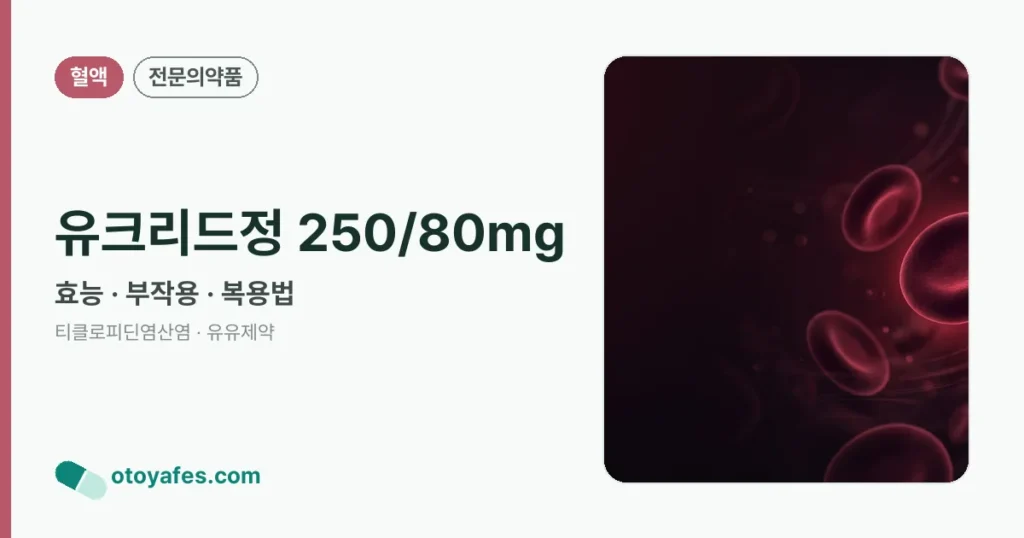 유크리드정 250/80mg 정리 썸네일