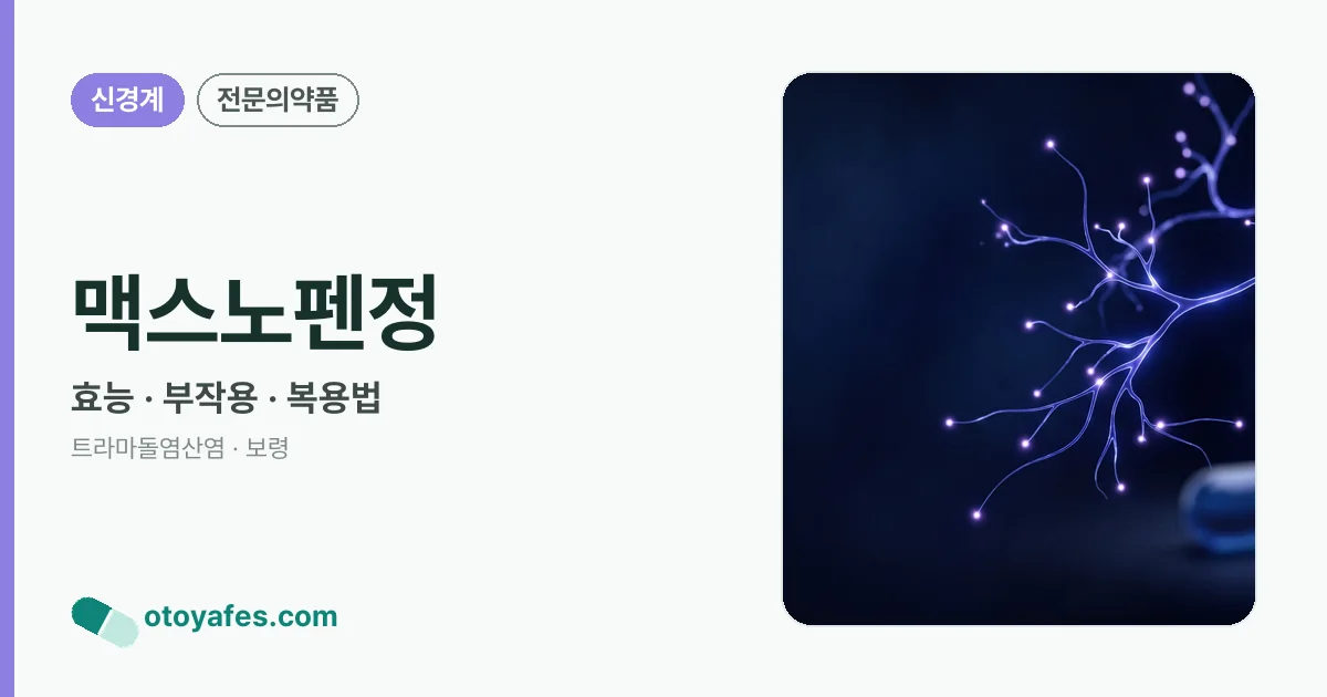 맥스노펜정 정리 썸네일