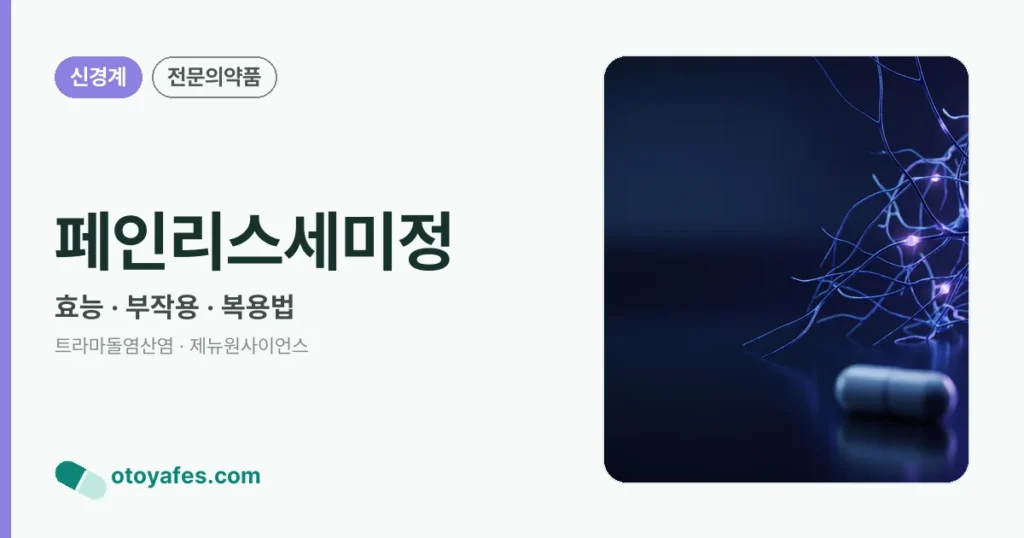 페인리스세미정 정리 썸네일