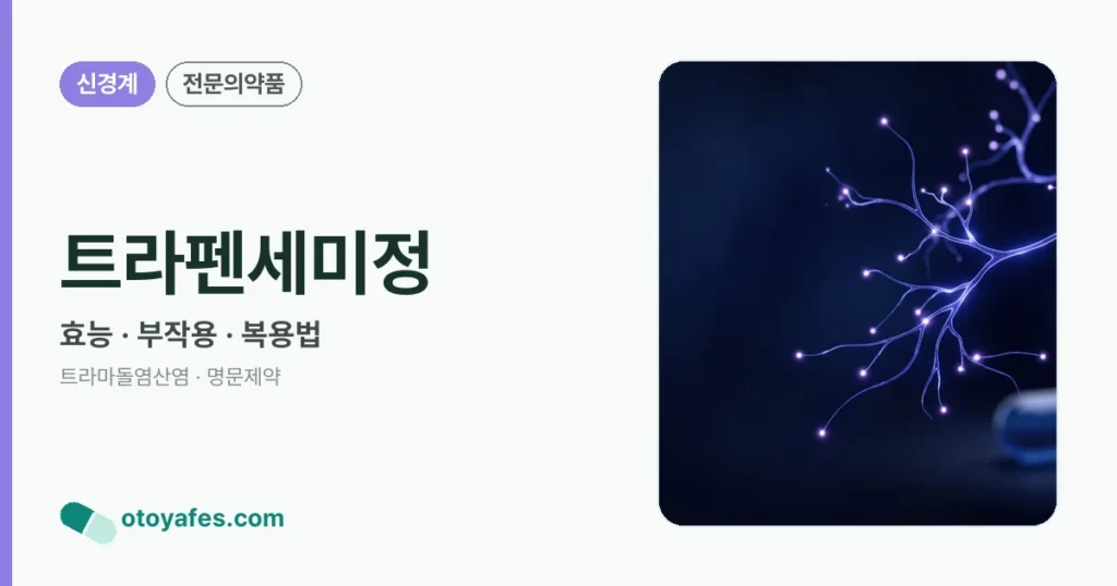 트라펜세미정 정리 썸네일