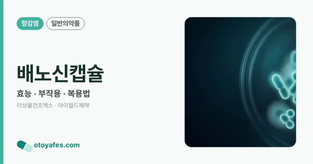 배노신캡슐 정리 썸네일