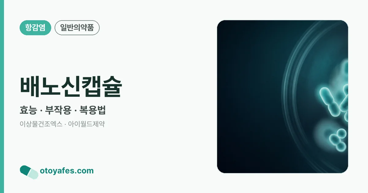 배노신캡슐 정리 썸네일