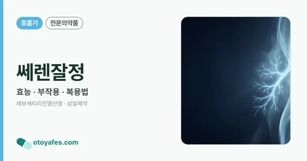 쎄렌잘정 정리 썸네일