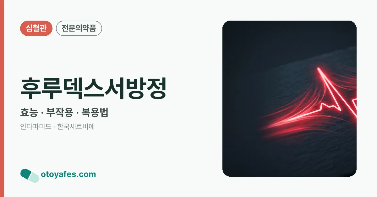 후루덱스서방정 정리 썸네일