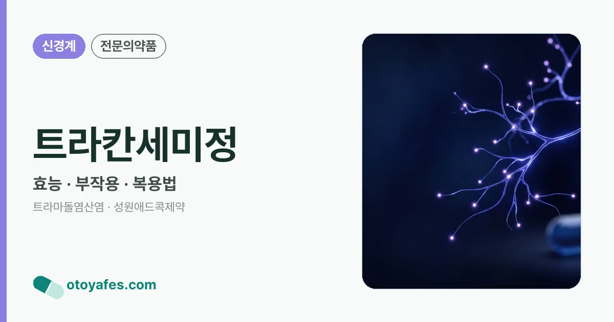 트라칸세미정 정리 썸네일