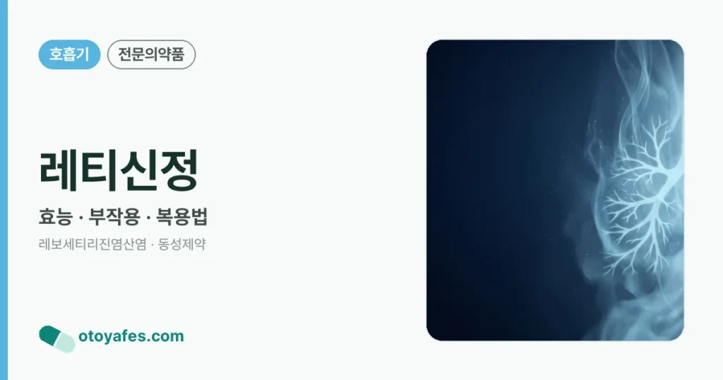 레티신정 정리 썸네일