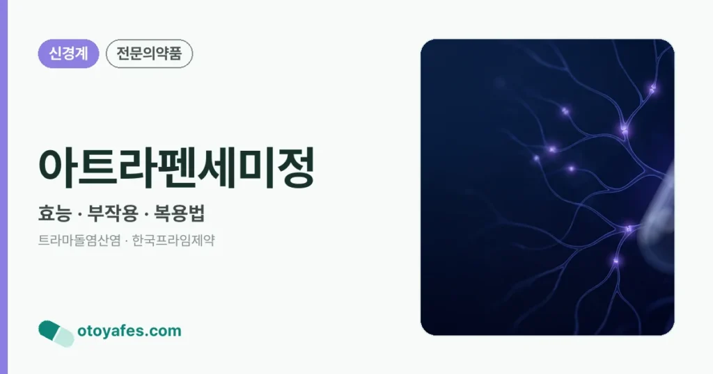 아트라펜세미정 정리 썸네일