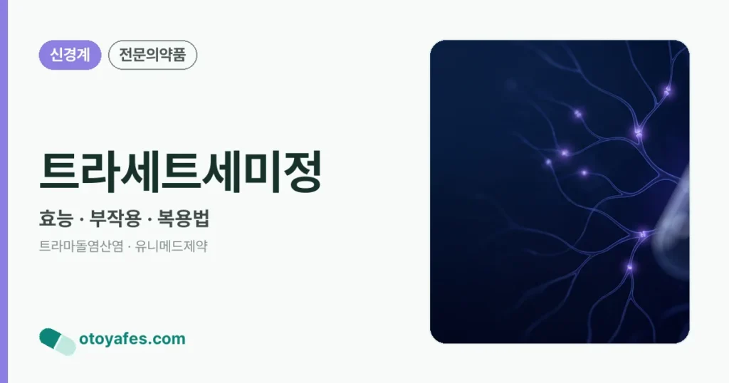 트라세트세미정 정리 썸네일