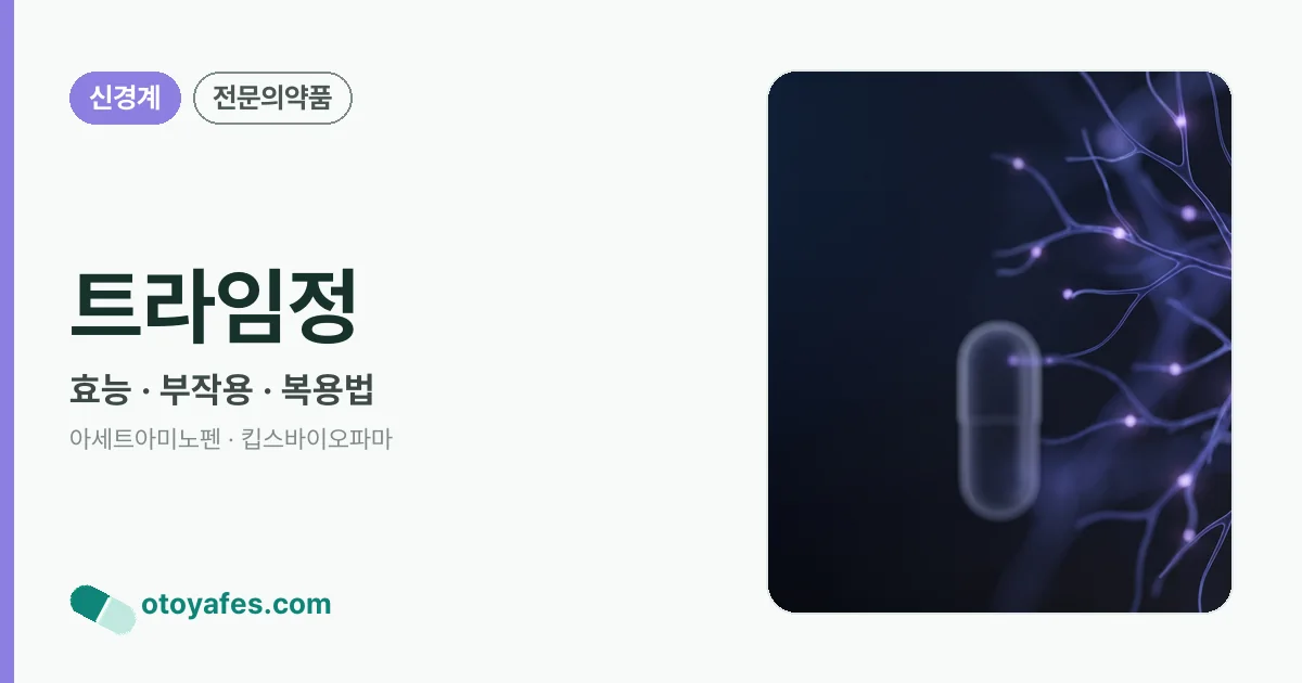 트라임정 정리 썸네일