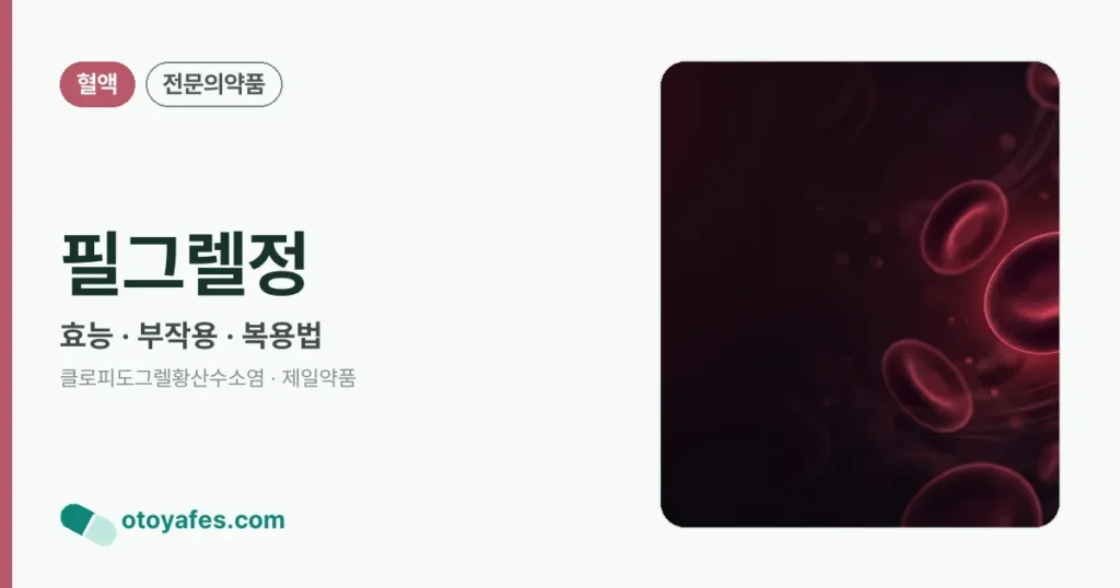필그렐정 정리 썸네일