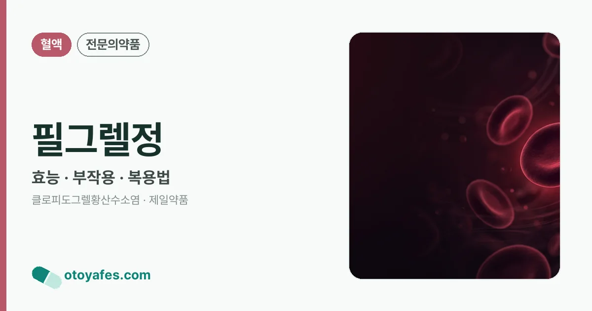 필그렐정 정리 썸네일
