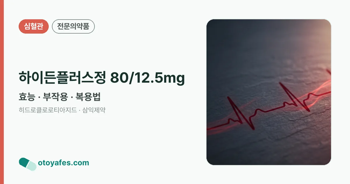하이든플러스정 80/12.5mg 정리 썸네일