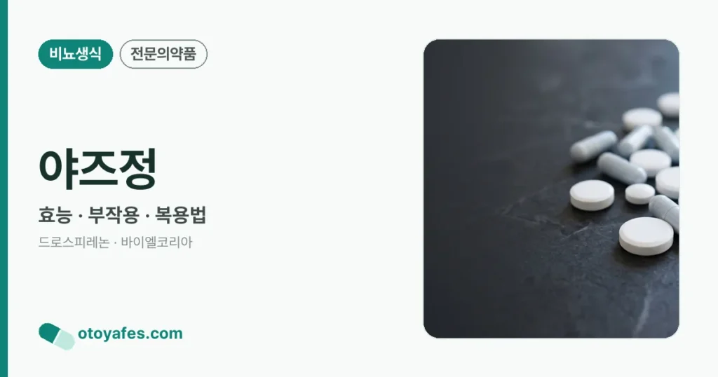 야즈정 정리 썸네일