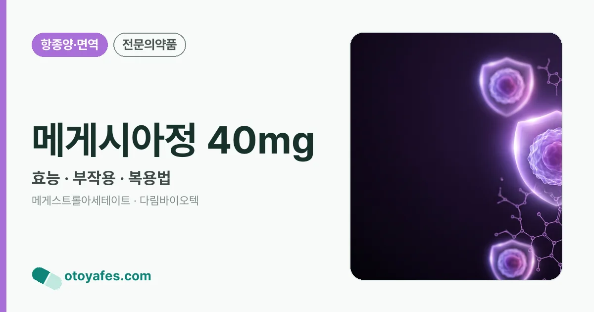 메게시아정 40mg 정리 썸네일