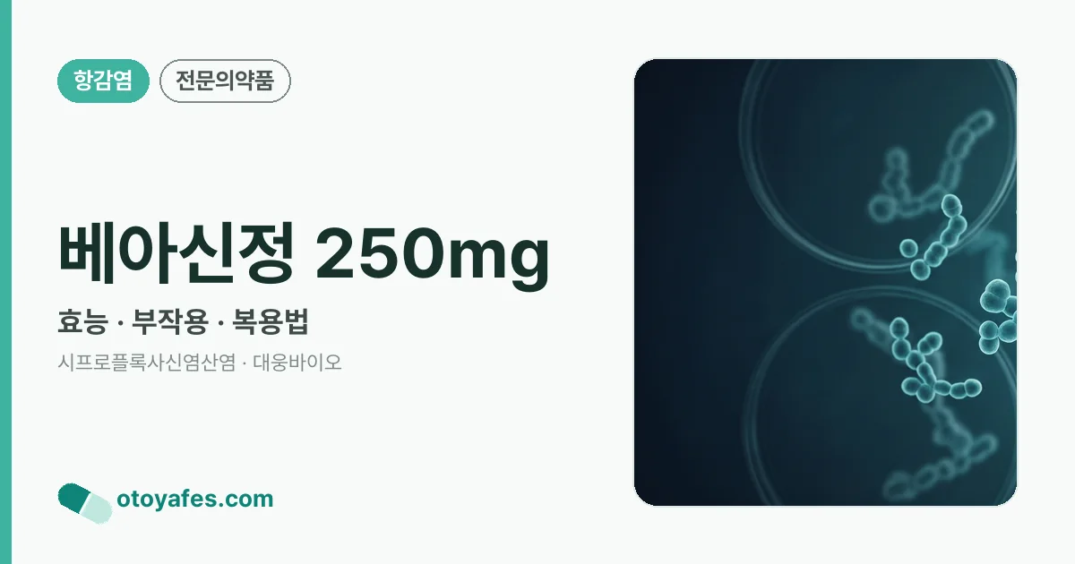 베아신정 250mg 정리 썸네일