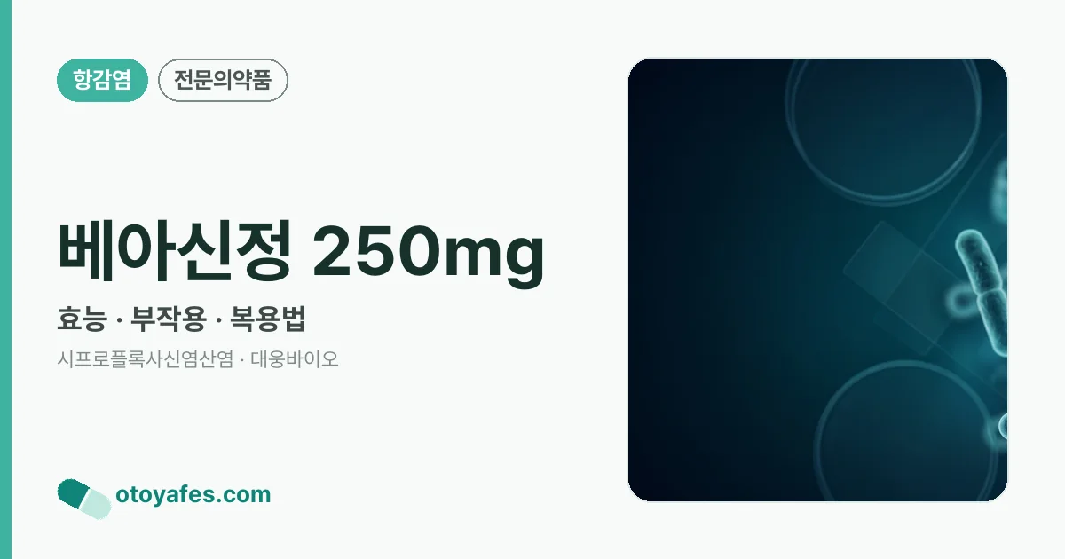 베아신정 250mg 정리 썸네일