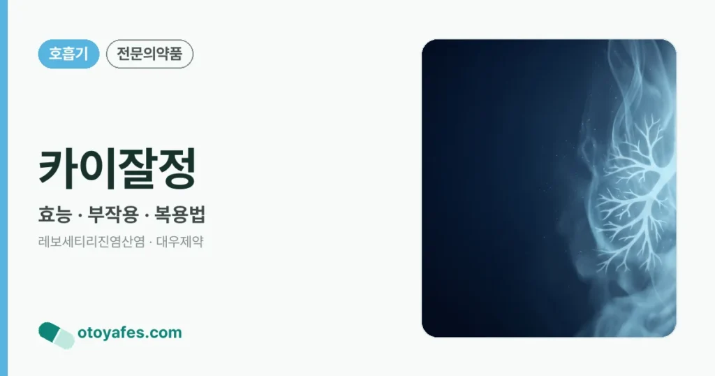 카이잘정 정리 썸네일