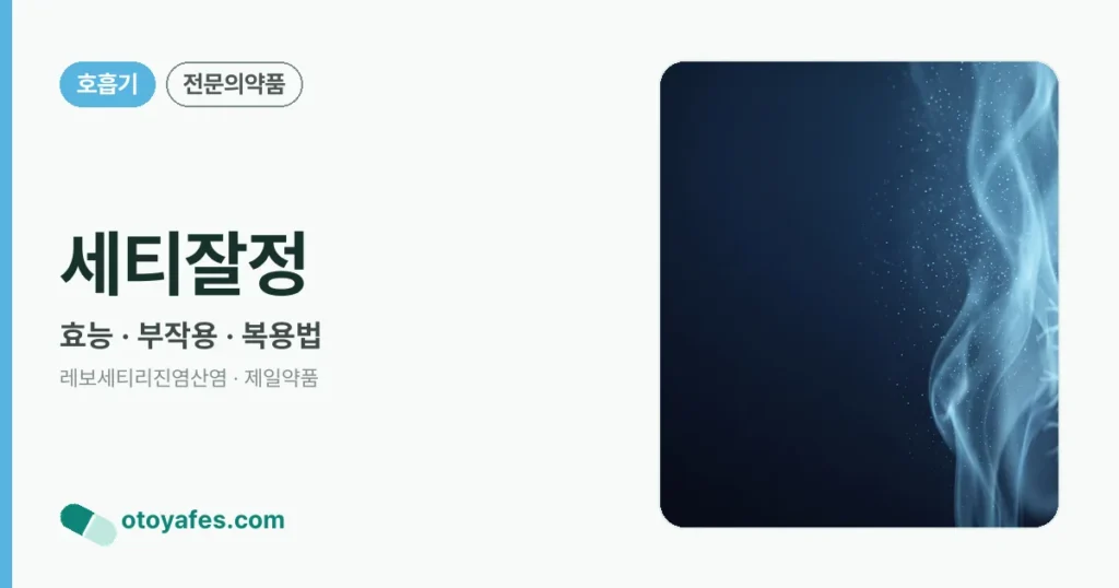 세티잘정 정리 썸네일
