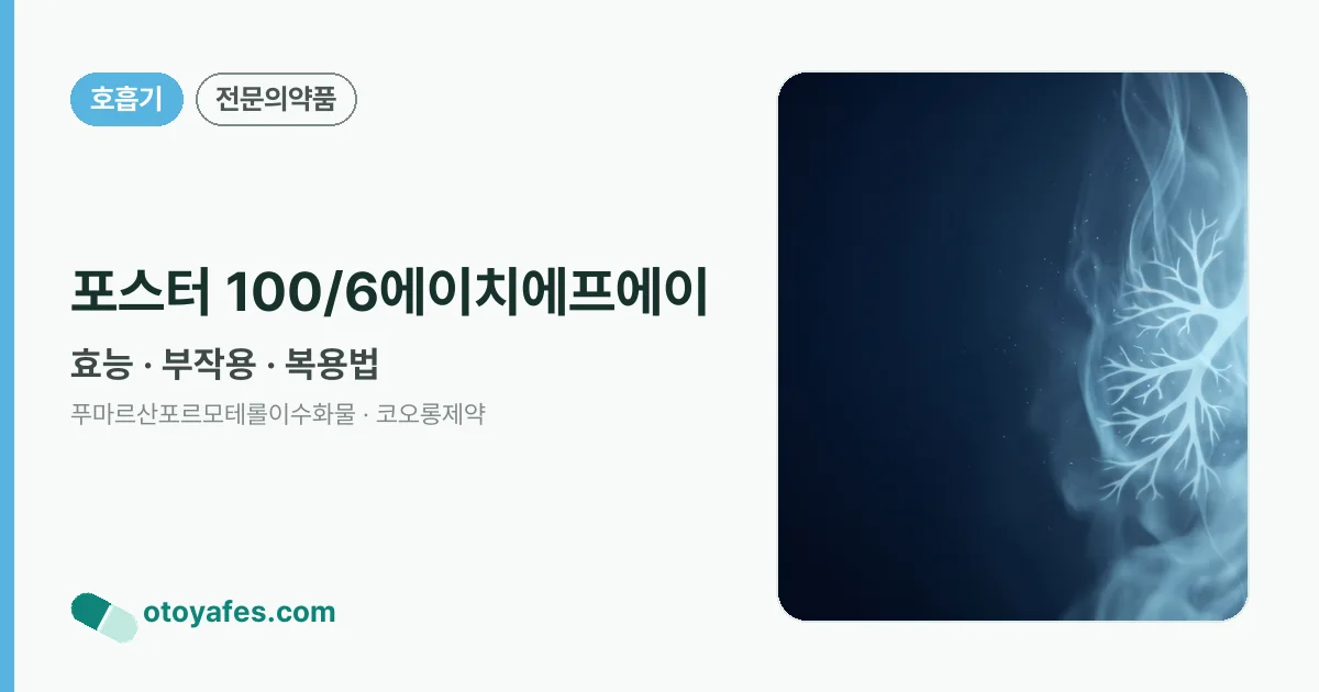 포스터 100/6에이치에프에이 정리 썸네일
