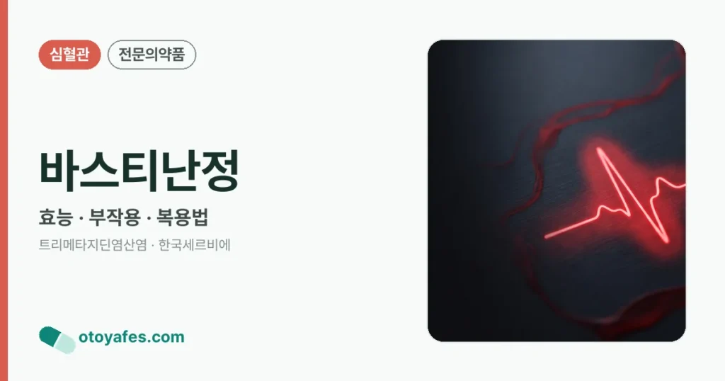바스티난정 정리 썸네일