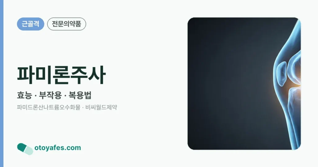 파미론주사 정리 썸네일