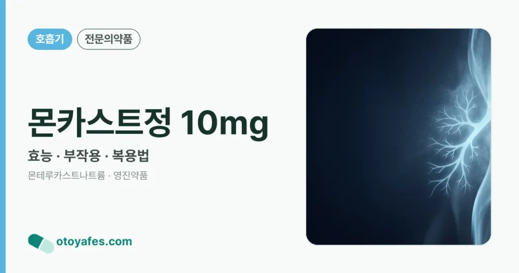 몬카스트정 10mg 정리 썸네일