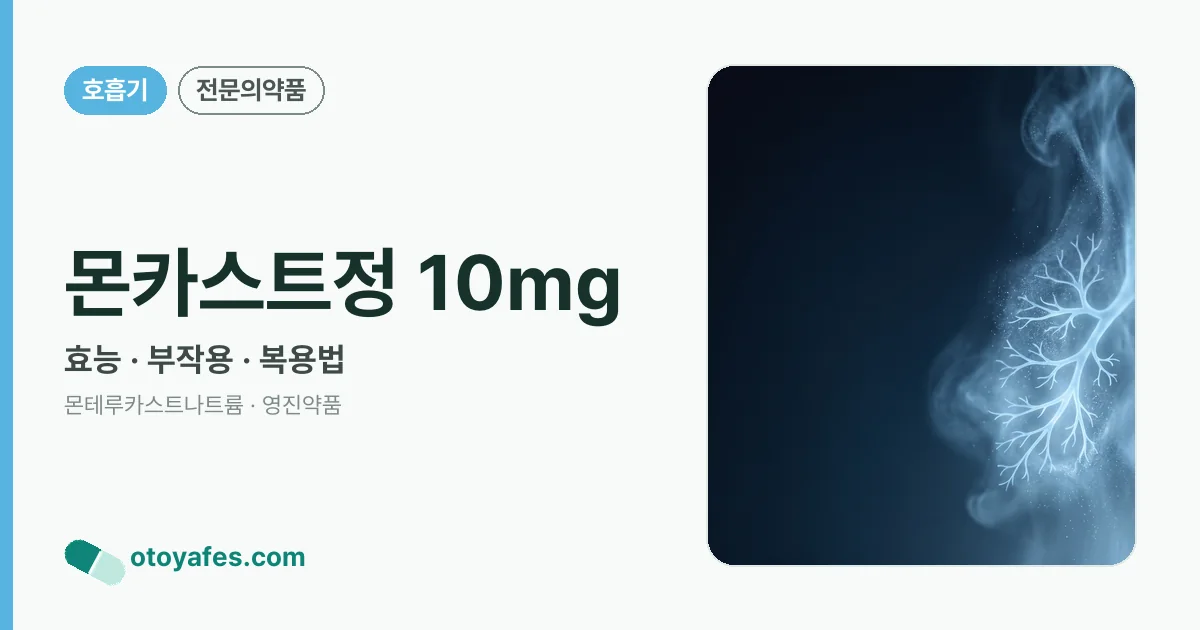 몬카스트정 10mg 정리 썸네일