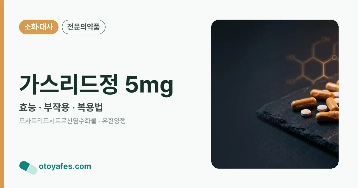 가스리드정 5mg 정리 썸네일